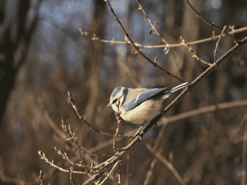 拿着试管图片真实，转业后做试管