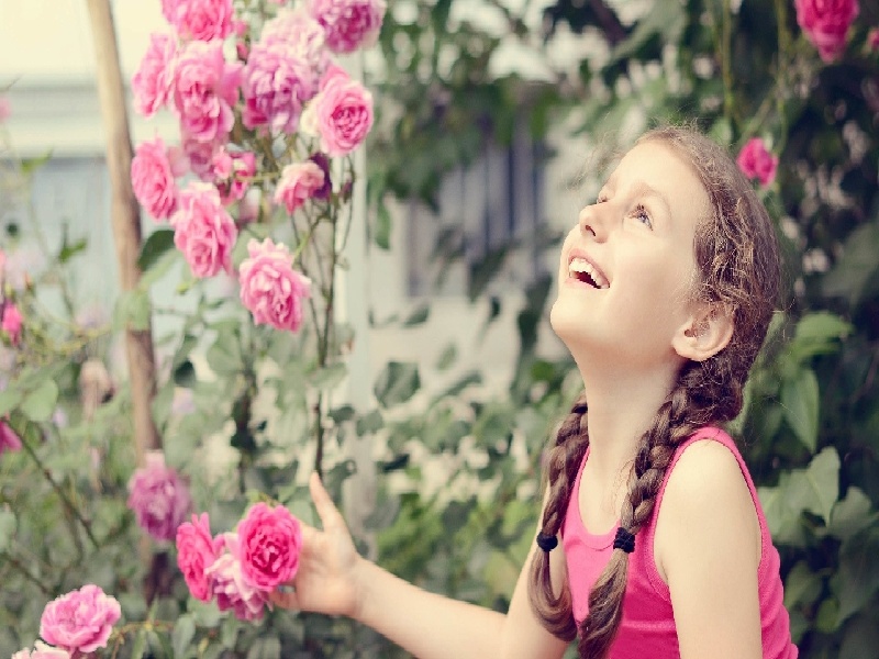 罗小明试管价格，试管保胎监测