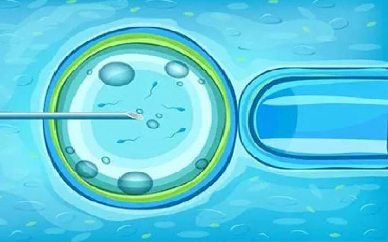 fvt 试管婴儿代生