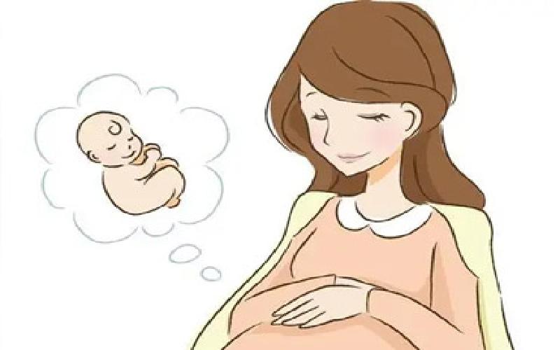 去上海做试管代生